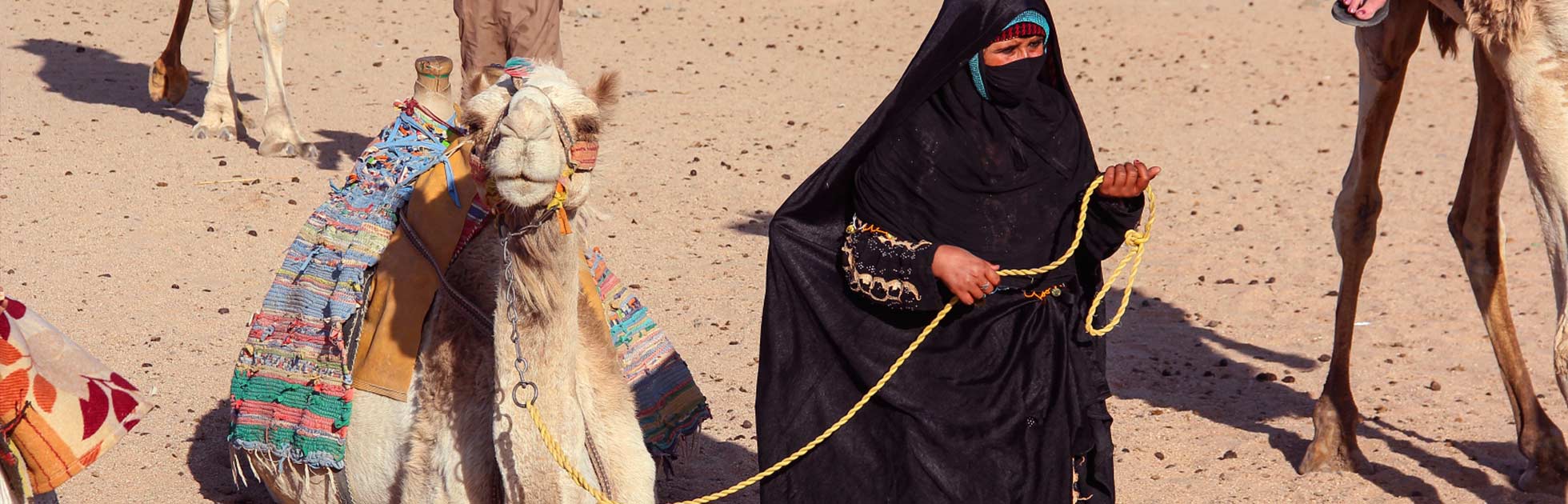 Women in Isiolo Reaping Huge Returns from Camels