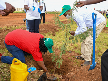 WRC Safari Greening Project Marks World Environment Day by Planting Trees at Kasarani Stadium